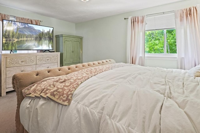 26 Gaslight Ln Unit 26, Easton, MA 02356 - bedroom featuring carpet floors