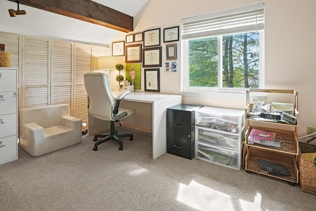 26 Gaslight Ln Unit 26, Easton, MA 02356 - office area with carpet flooring