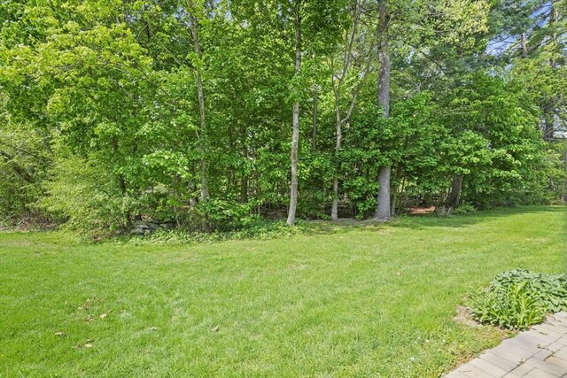 26 Gaslight Ln Unit 26, Easton, MA 02356 - view of green lawn