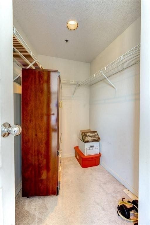 walk in closet with carpet