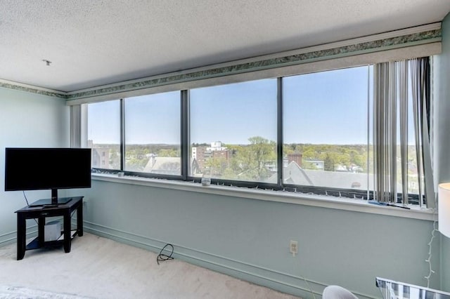 sitting room with baseboards, a textured ceiling, and carpet
