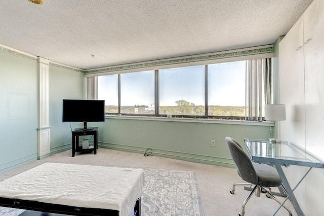 carpeted office space featuring a textured ceiling and baseboards