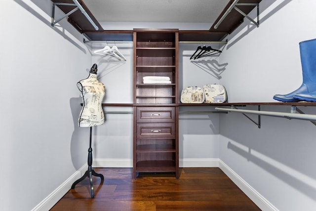 spacious closet featuring dark hardwood / wood-style floors