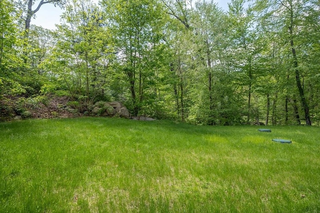 233A Green St Unit A, Boylston, MA 01505 - view of yard featuring a wooded view