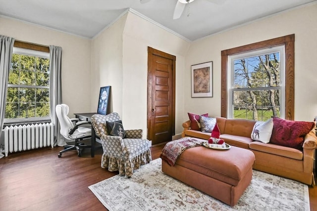 824 Tucker Rd, Dartmouth, MA 02747 - living area with radiator heating unit, ornamental molding, wood finished floors, a ceiling fan, and an office area