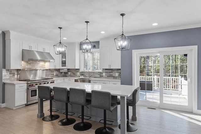 kitchen with visible vents, light countertops, under cabinet range hood, light wood finished floors, and double oven range