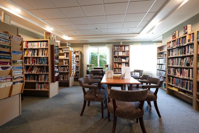 living area with a tray ceiling, carpet flooring, a paneled ceiling, and wall of books