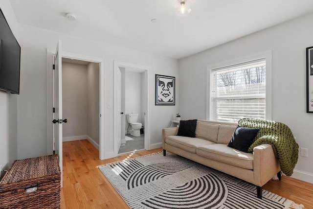 living room featuring wood-type flooring