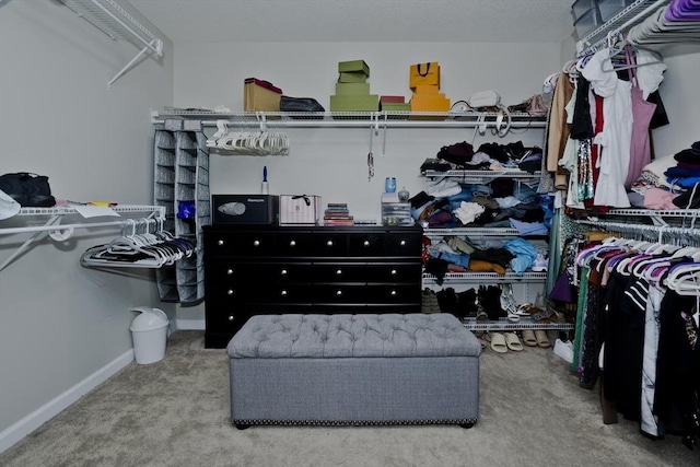 210 Naismith, Springfield, MA 01104 - spacious closet featuring carpet