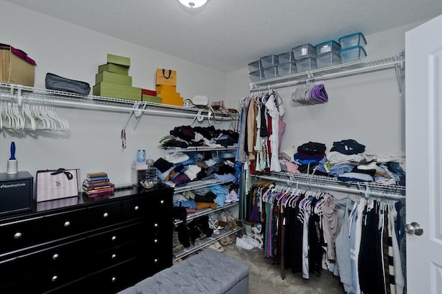 210 Naismith, Springfield, MA 01104 - view of walk in closet