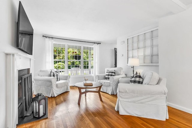 12 Blueberry Ln, Hudson, MA 01749 - living room with wood finished floors, a fireplace, and baseboards