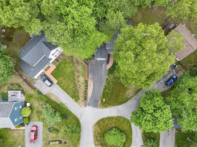 12 Blueberry Ln, Hudson, MA 01749 - bird's eye view