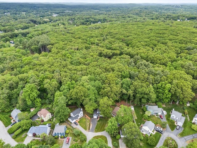 12 Blueberry Ln, Hudson, MA 01749 - view of property location with a heavily wooded area and nearby suburban area