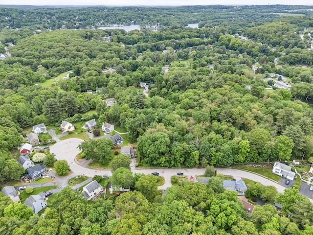 12 Blueberry Ln, Hudson, MA 01749 - drone / aerial view of a forest and a large body of water