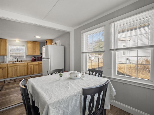 dining room featuring dark wood-type flooring and sink