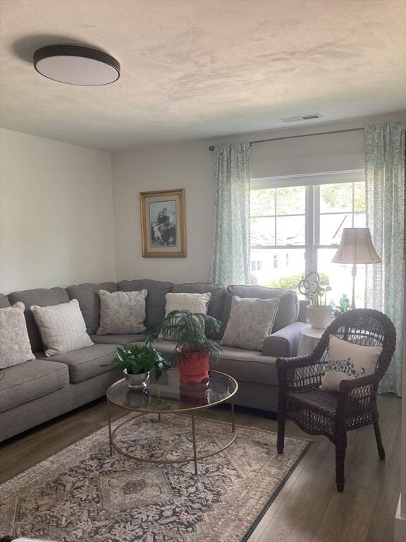 8 Salisbury Hill Blvd Unit 76, Worcester, MA 01609 - living room with wood finished floors