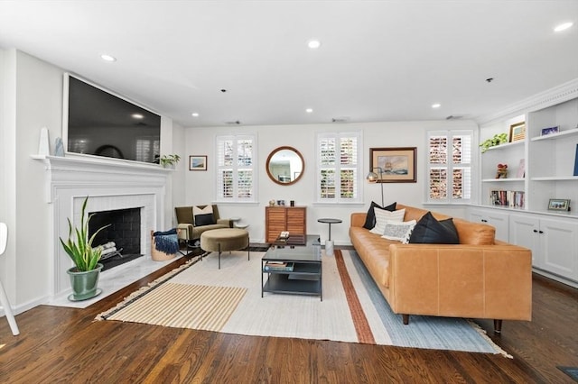 living area featuring wood finished floors, a fireplace, and recessed lighting