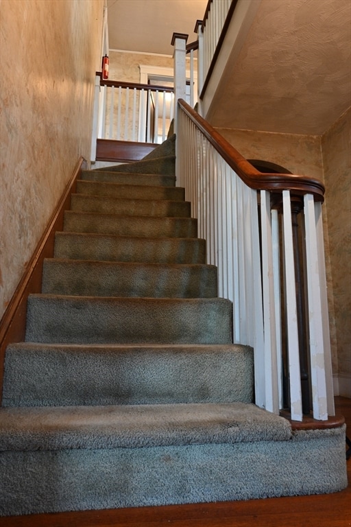 staircase featuring hardwood / wood-style flooring