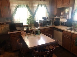 kitchen with sink, dishwasher, and plenty of natural light