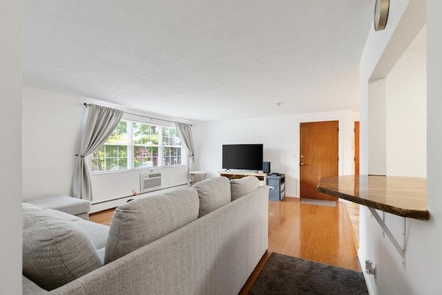 9 Tara Dr Unit 8, Weymouth, MA 02188 - living room with wood finished floors and a baseboard heating unit