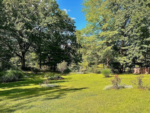 view of grassy yard