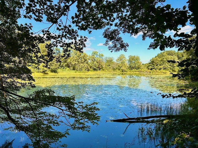 water view with a heavily wooded area
