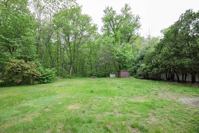 213 Nashua Rd, Billerica, MA 01862 - view of green lawn