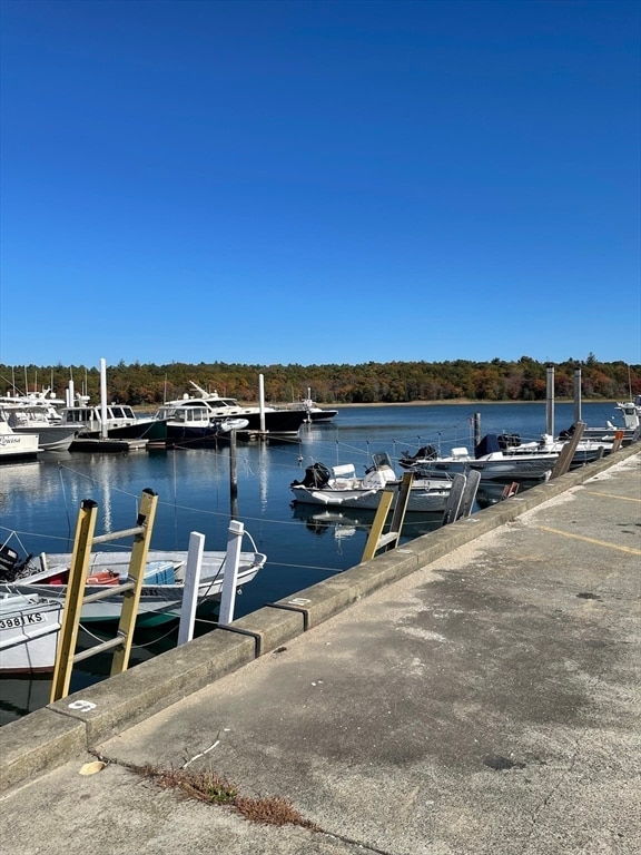 dock area with a water view