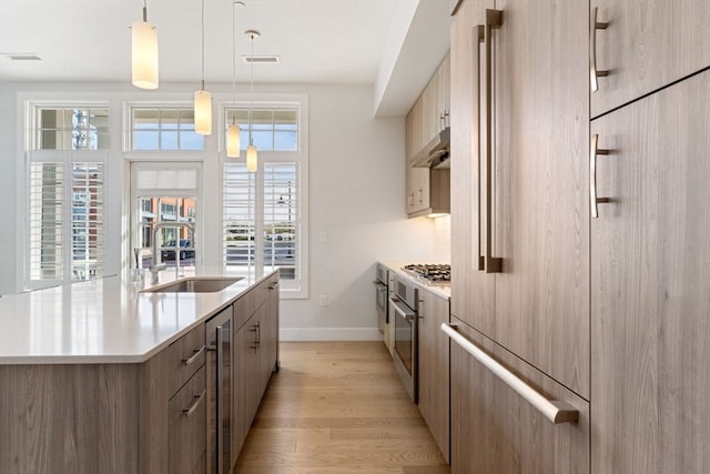 kitchen with appliances with stainless steel finishes, decorative light fixtures, an island with sink, sink, and light wood-type flooring