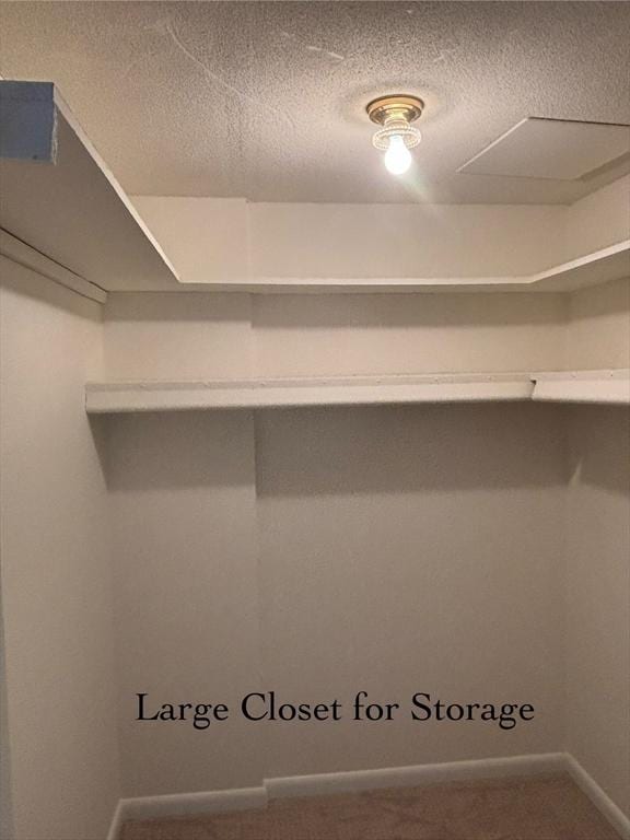 280 Boylston St Unit 110, Newton, MA 02467 - walk in closet featuring carpet floors