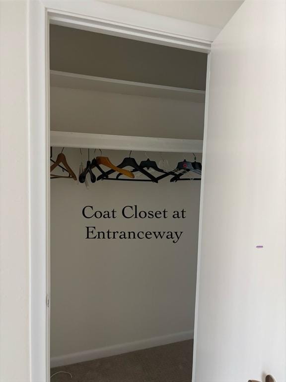 280 Boylston St Unit 110, Newton, MA 02467 - view of closet