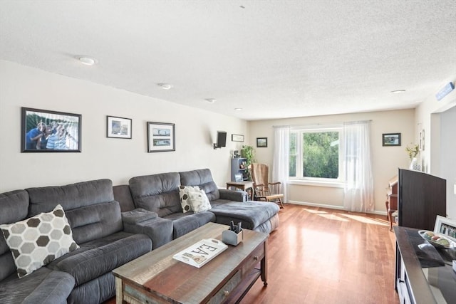 23 Jasmine Ct, Dracut, MA 01826 - living room with light wood-style flooring and a textured ceiling