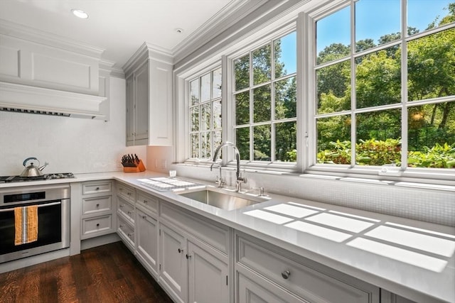 kitchen featuring stainless steel appliances, custom exhaust hood, plenty of natural light, and sink