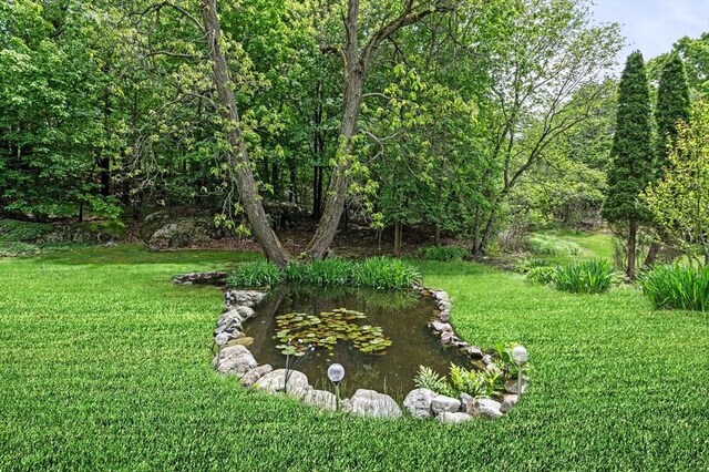 5 Emery Ct, Stoneham, MA 02180 - view of green lawn with a garden pond