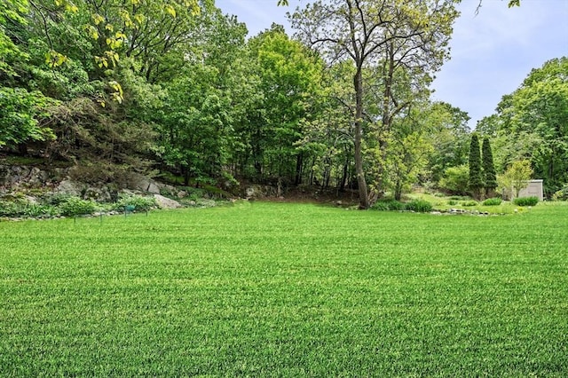 5 Emery Ct, Stoneham, MA 02180 - view of grassy yard