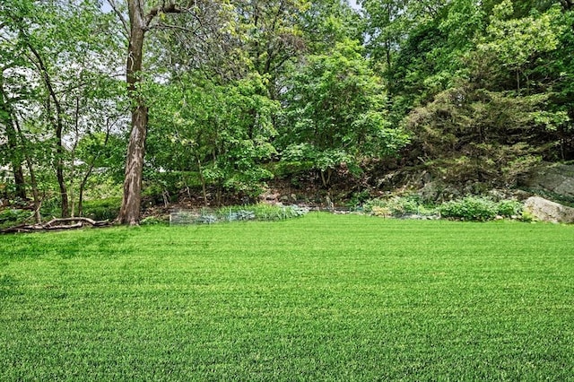5 Emery Ct, Stoneham, MA 02180 - view of green lawn