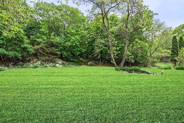 5 Emery Ct, Stoneham, MA 02180 - view of green lawn