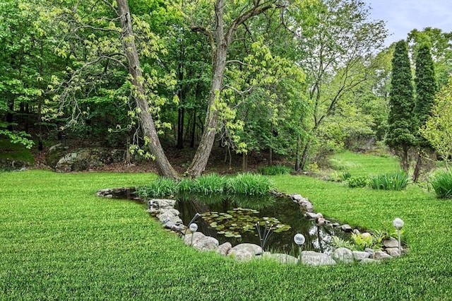 5 Emery Ct, Stoneham, MA 02180 - view of green lawn