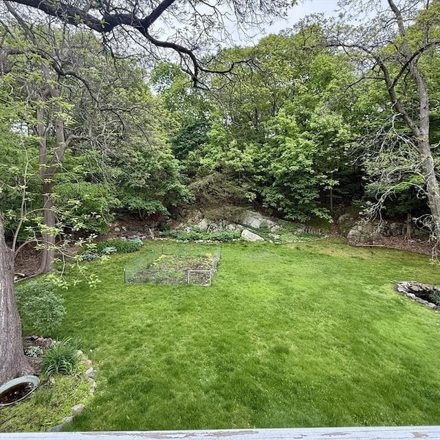 5 Emery Ct, Stoneham, MA 02180 - view of grassy yard with a garden
