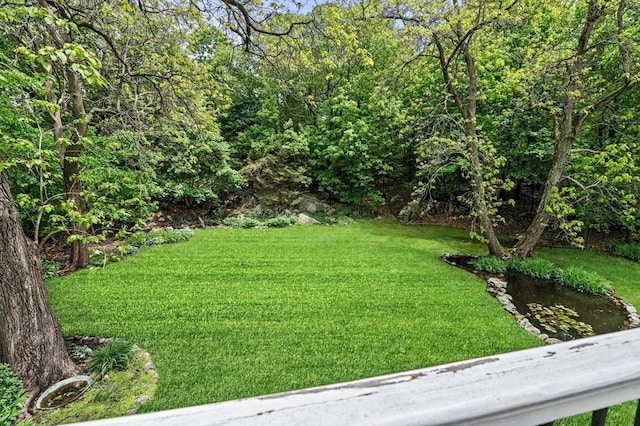 5 Emery Ct, Stoneham, MA 02180 - view of green lawn