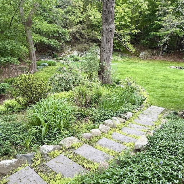 5 Emery Ct, Stoneham, MA 02180 - view of grassy yard