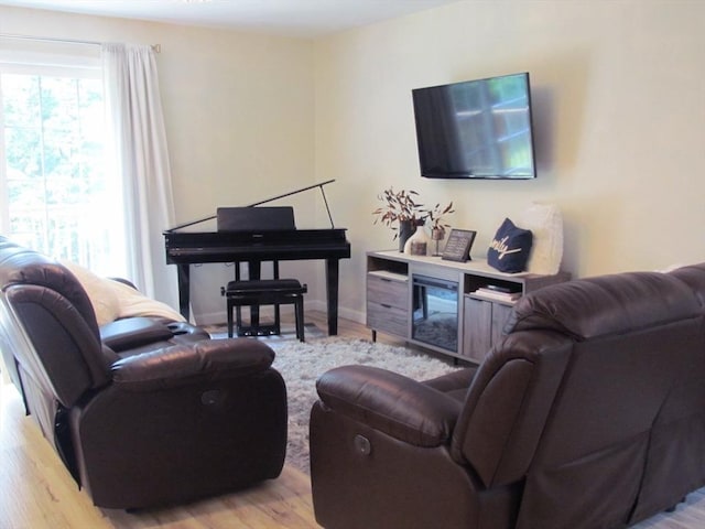 living room featuring light wood-type flooring