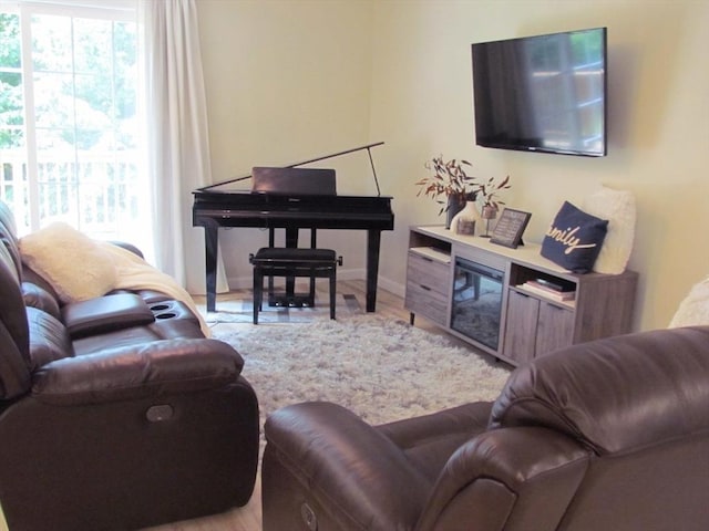 living room featuring a healthy amount of sunlight and light hardwood / wood-style flooring