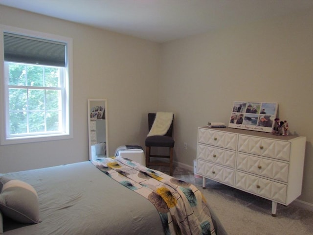 bedroom featuring carpet