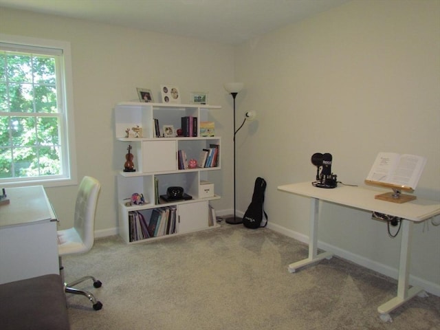 office area with carpet