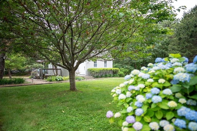 10 Kellies Path, Eastham, MA 02642 - view of grassy yard