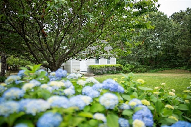 10 Kellies Path, Eastham, MA 02642 - view of yard