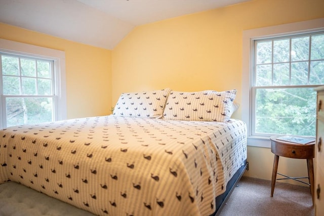 10 Kellies Path, Eastham, MA 02642 - carpeted bedroom featuring multiple windows and vaulted ceiling