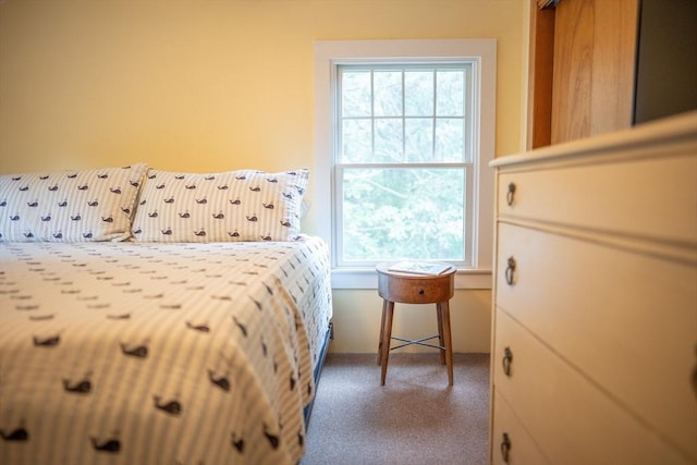 10 Kellies Path, Eastham, MA 02642 - bedroom with multiple windows and carpet floors