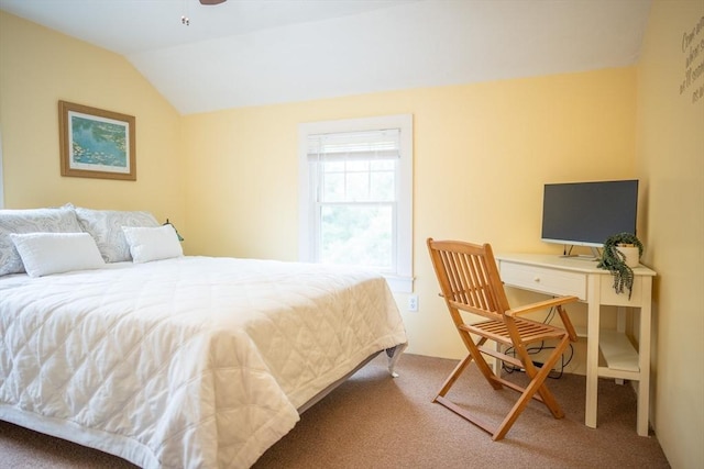 10 Kellies Path, Eastham, MA 02642 - bedroom with carpet floors and lofted ceiling